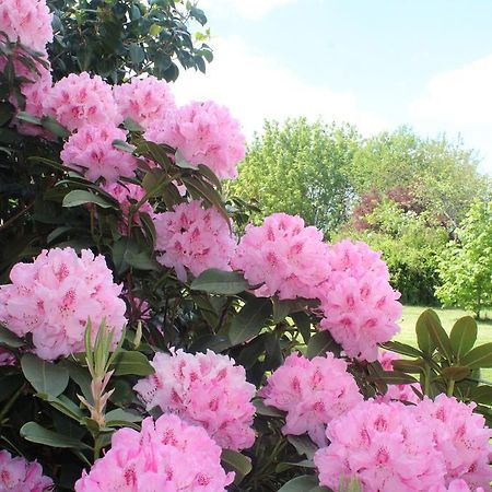 Le Clos Des Roses Сен-Регле Экстерьер фото